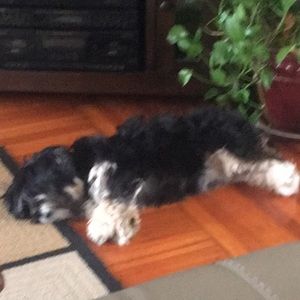 Meet your Posher, Vanessa